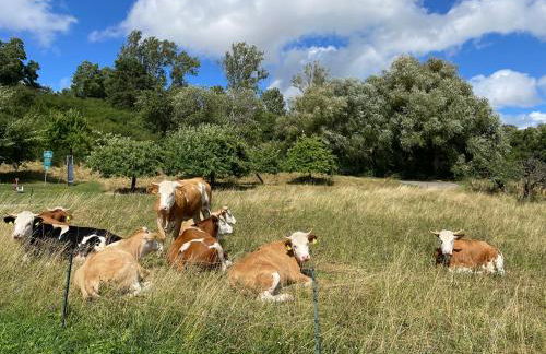 Landhaus-Villa auf dem Berg - Foto 67