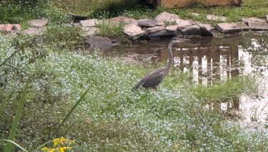 Susquehanna Waterfall Haven - Foto 4