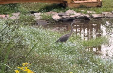 Susquehanna Waterfall Haven - Foto 4