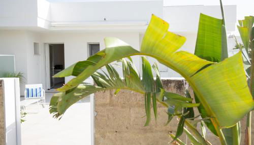 Residence BLANCO GARDEN 1 a 100 mt dalla spiaggia di Posto Vecchio Marina di Pescoluse - Foto 2, Garden