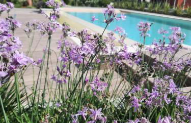 Appartamenti Villa Gloria - Foto 1