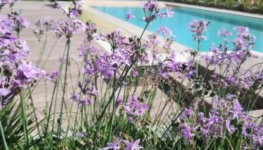 Appartamenti Villa Gloria - Foto 1