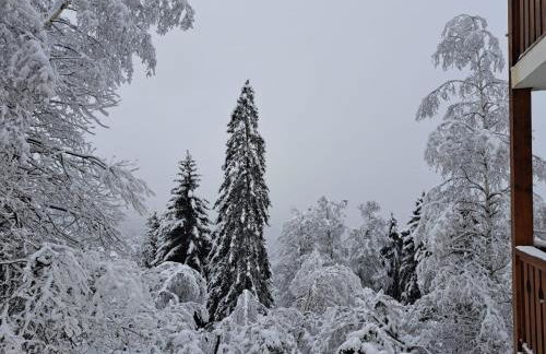 Spacious apartment with beautiful views max 8 pers - Foto 20