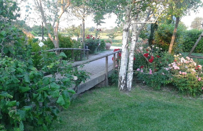 Fattoria Belvedere - Photo 27