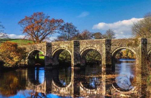 Finlodge- Pet-Friendly Scandinavian Cabin - Photo 32