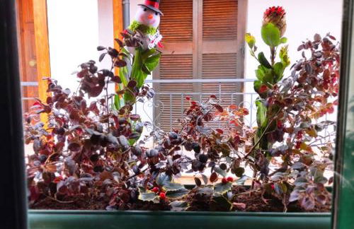 Kristi's Homes - "Beautiful Attic" in Dimitsana - Foto 9