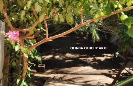 Olinda's Carnival 2025 - Foto 12