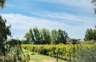 APPARTAMENTO DA GIOVANNI - Terrasse - Küche - Klima - Parken - Photo 29