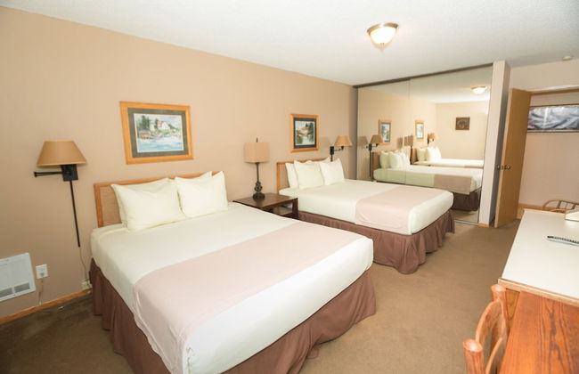 The Grey Gull - Foto 12