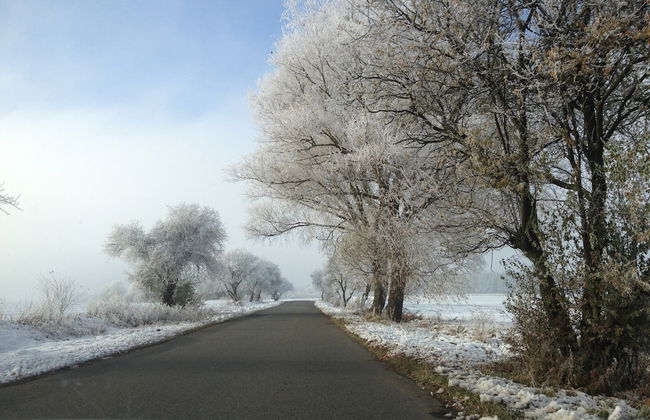 Traditional Apartment near Sea in Kühlungsborn - Foto 16
