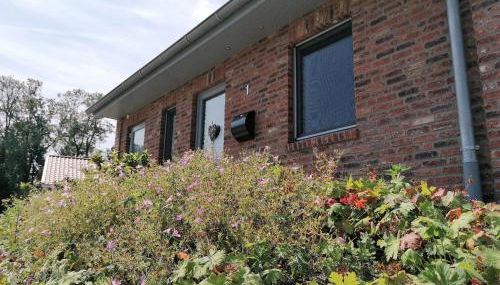 Holunder Hüsken - Foto 3