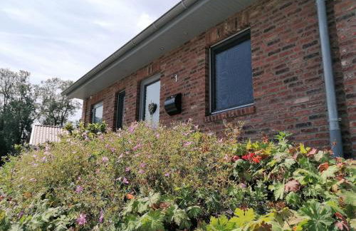 Holunder Hüsken - Foto 3