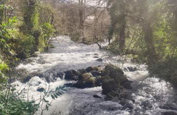 The Annex Roundaway Lodge - Foto 17