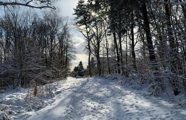 Gäste-Apartment Verweilzeit - Foto 18