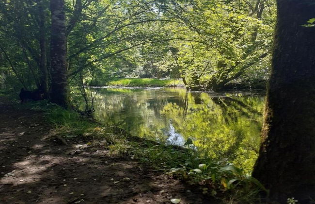 Holiday Home in Loubigne With Pool & Terrace - Photo 36