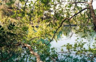 Rizes House - Foto 16