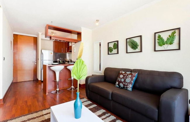 Apartamentos Premium Capital Providencia - Foto 10