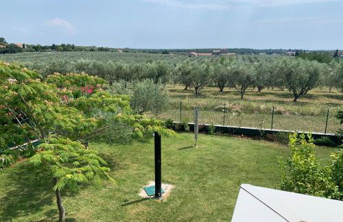 Apartments Rosa - Foto 15