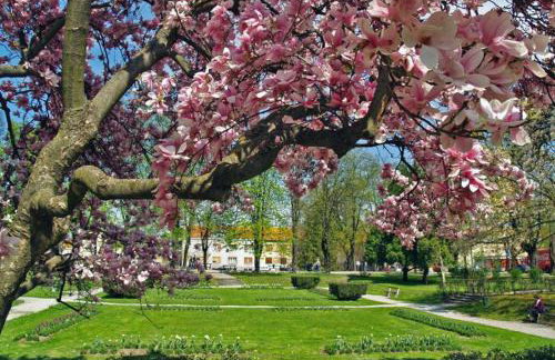 Studio apartman IVAN - Foto 43