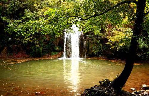 Apartamento acogedor - Foto 29