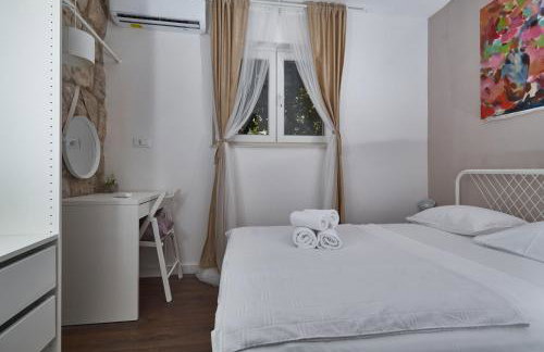 Aspidistra Shadow - Foto 13