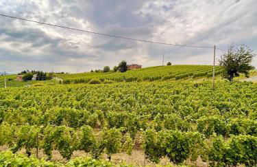 Villa Bricco 46 - Foto 36