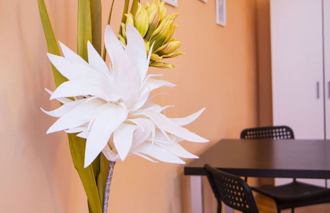 Lidicka Apartments - Foto 10