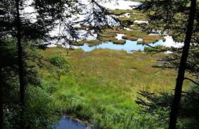 RELAX CHALET Nature Retreat - isolé sur 3 hectares - confort de LUXE - maison entière 150m2 - près de La Bresse - Foto 58