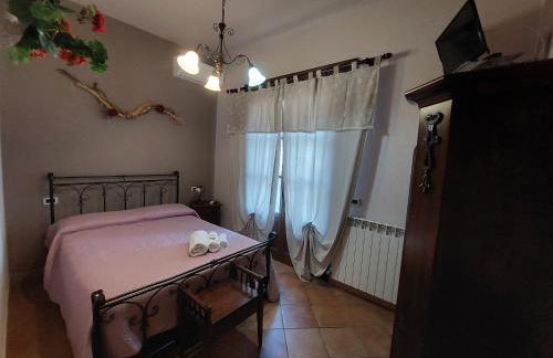 Agriturismo Dinoabbo Ulivi - Foto 16