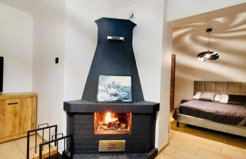 Villa Makuchówka - Foto 47