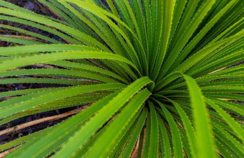 Monte Mahala - Two Unique Homes - Foto 77