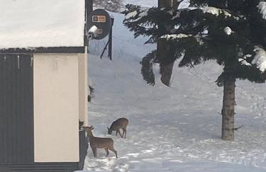 Cerla Korbielów - Domek dla Dwojga - Foto 16