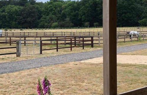 Nightingale Lodge - Adults Only - Foto 10