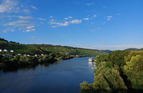 Ferienwohnungen Zum Niederberg mit Balkon und Moselblick - Foto 46