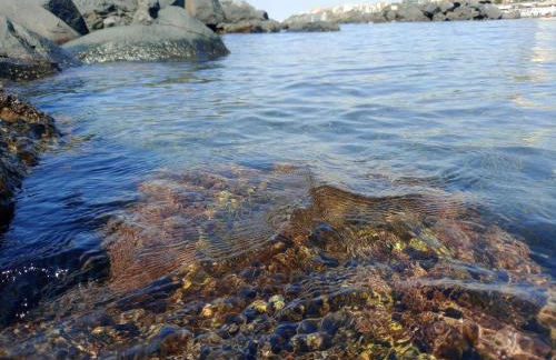 GIOIA Holiday Home - Foto 56