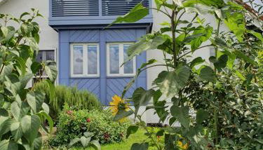 Gästewohnung Elbblick - Reinkommen, Wohlfühlen und den Ausblick genießen - Foto 4