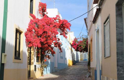 Apartamentos Turisticos Praia Grande - Foto 16