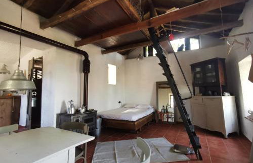 Dendrocopos Medius - Photo 15