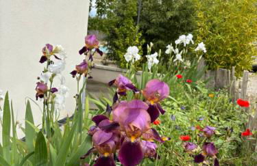 Maison Plume en Provence - Foto 44