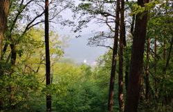 RheinWeinBoppard 2 - mit Rheinblick - Foto 72