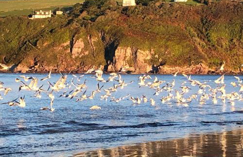 Badgers Den, a beautiful log cabin in a secluded valley close to the beach - Foto 24
