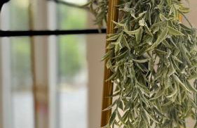 NEW Tendaka Stylish Hideaway - Photo 8