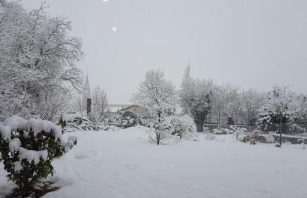 Masetto Egidio Eco-Agritur - Foto 62