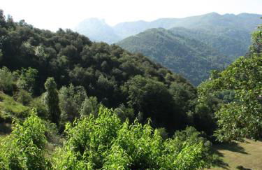 Viviendas Rurales Aldea de Dosamantes - Photo 9