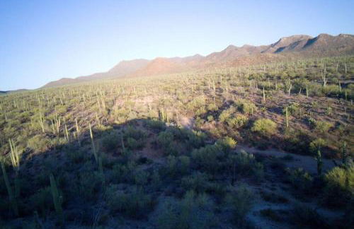 R&R in Saguaro Natl Park - Foto 13