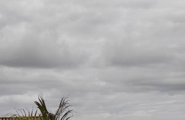Casas no Centro Histórico de Garopaba - Foto 18