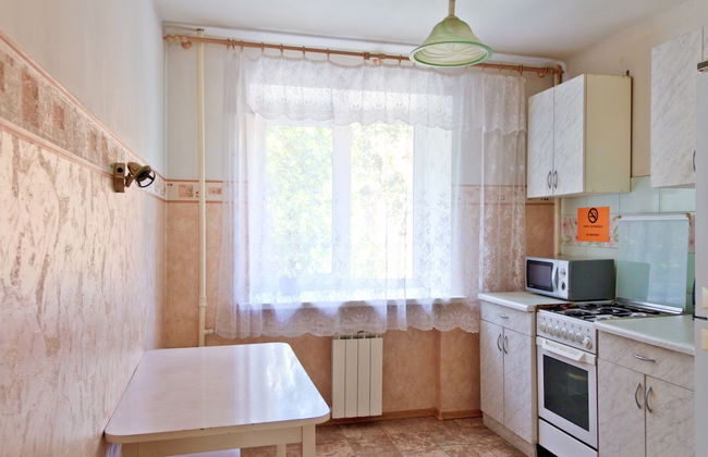 Apartment ALLiS-HALL on Pervomayskaya 70 - Foto 8