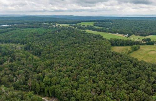 Serenity Escape Treehouse on 14 acres near Little River Canyon - Foto 20