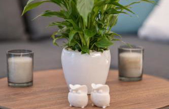 Sofilins Luxury Suite - Photo 18