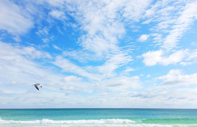 Summit at Tops'l 212 - Foto 20